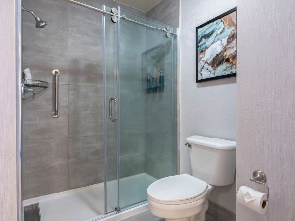 The image shows a modern bathroom with a shower, glass doors, toilet, and wall art, and a toilet paper holder on the side.
