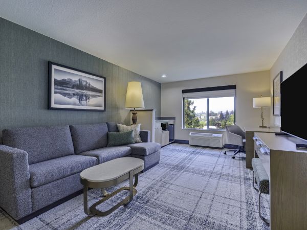 A modern hotel room with a couch, lamp, TV, and desk facing a window with a landscape view.