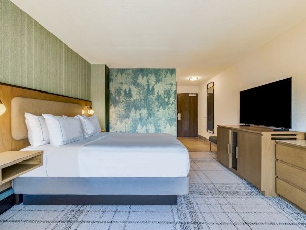 A modern hotel room with a bed, forest-themed accent wall, flat-screen TV, wooden furniture, and a door in the background.